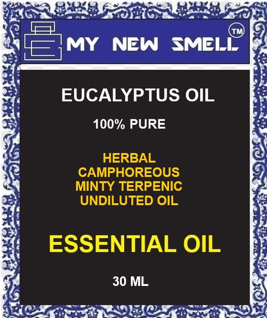 EUCALYPTUS OIL HERBAL CAMPHOREOUS MINTY TERPENIC