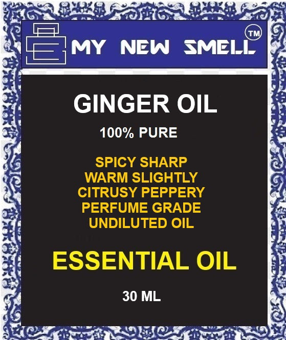 GINGER OIL SPICY SHARP WARM SLIGHTLY CITRUSY PEPPERY